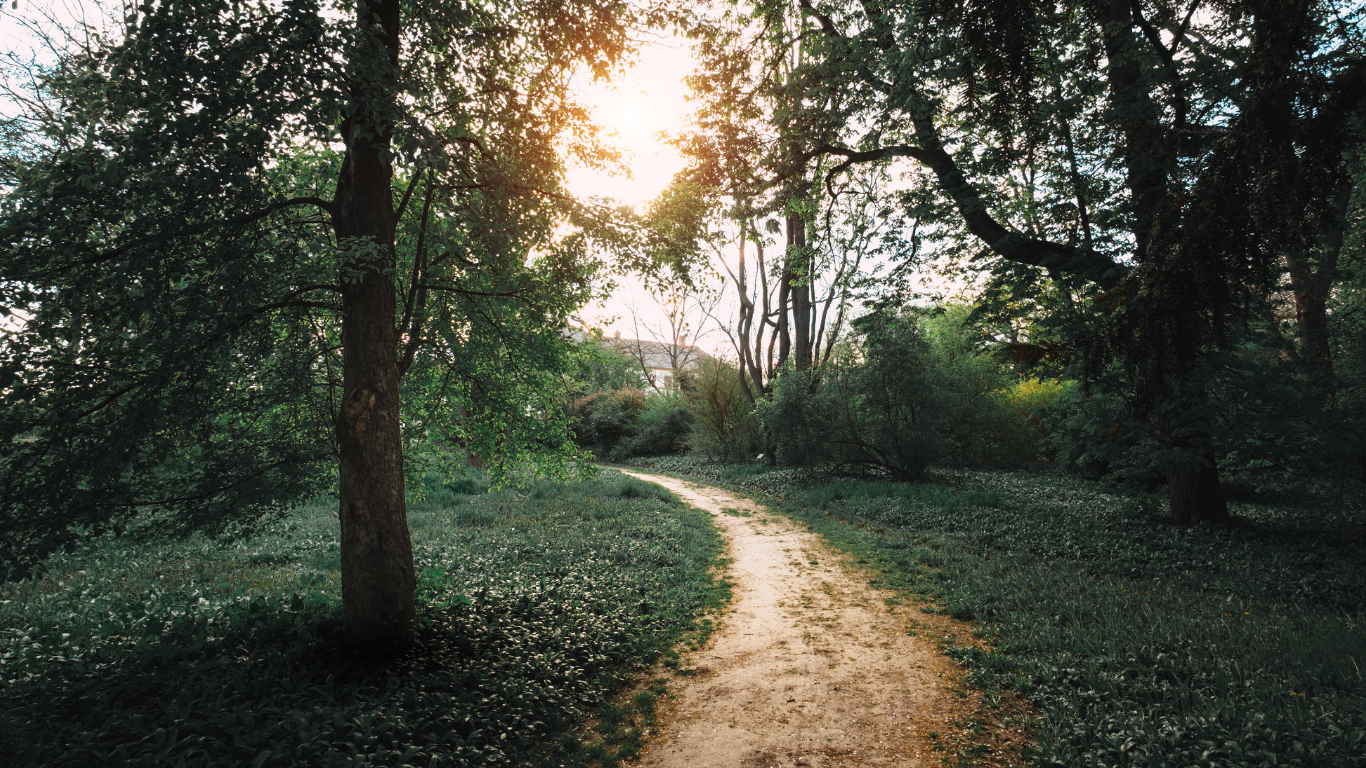 about-02 Path Bg